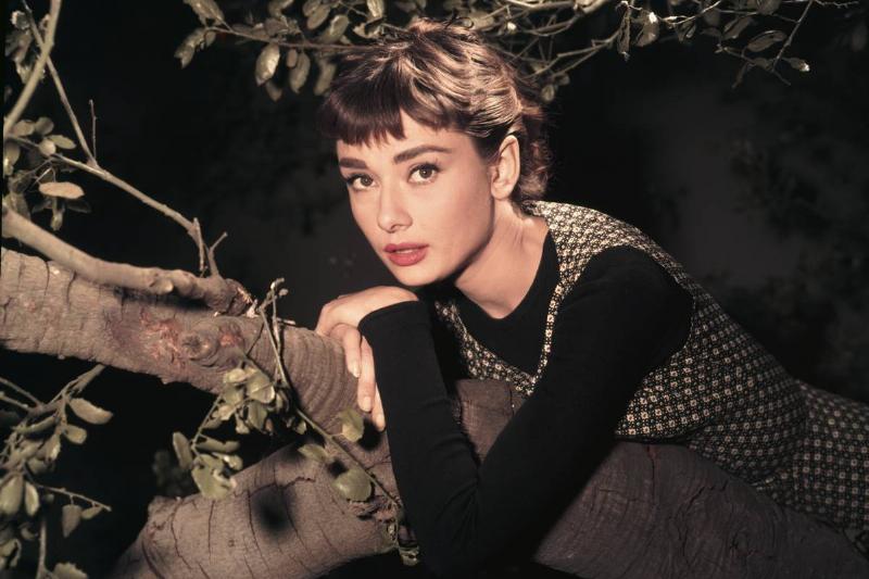 奥黛丽赫本演员简介,奥黛丽赫本资料和电影作品