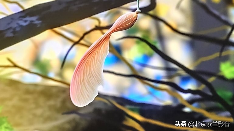 圣歌anthem测评,anthem圣歌下载