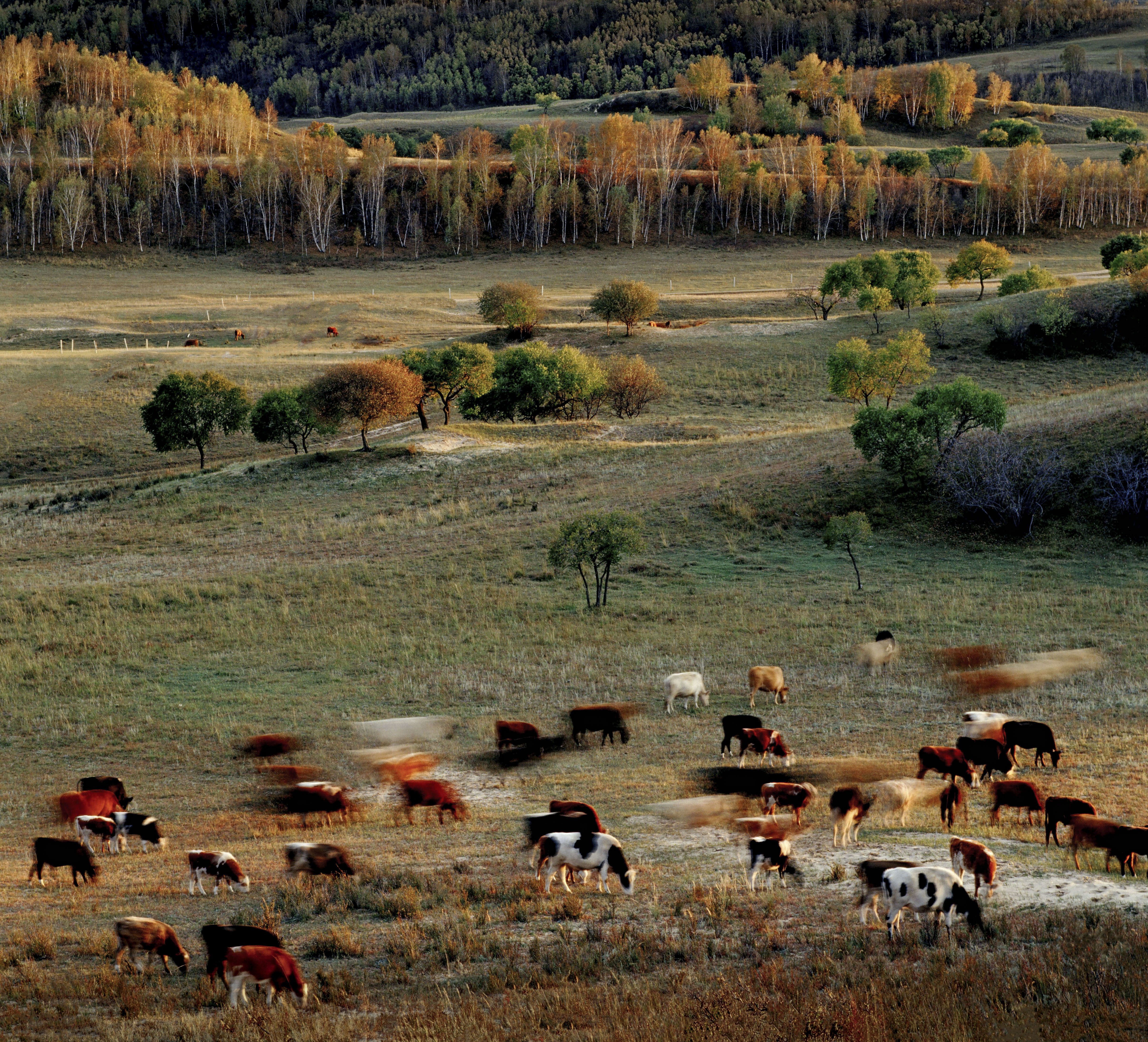 坝上草原天路美景,大美坝上风光系列之一