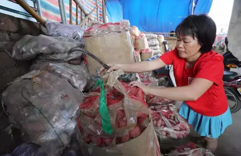 温州大爷仅靠卖红薯一年赚80w,湛江90后真实收入