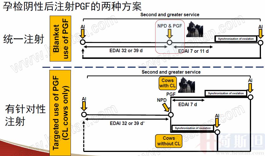 康奈尔大学干细胞研究,康奈尔大学科研