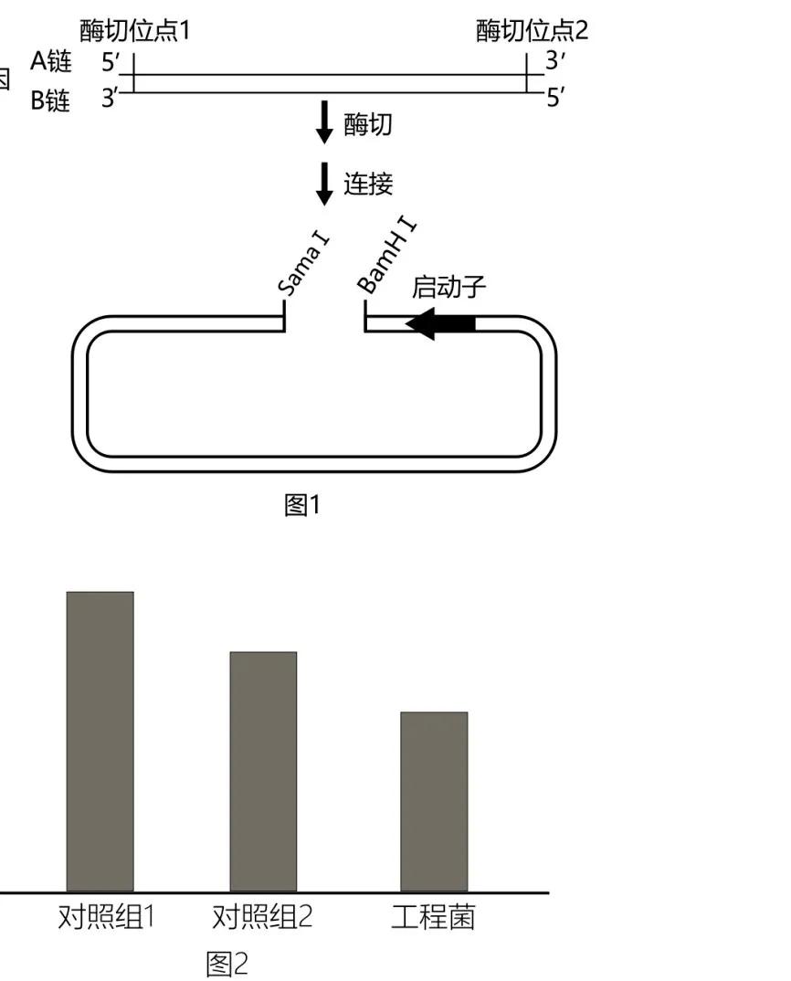 2020北京卷生物高考,北京高考生物试卷难吗