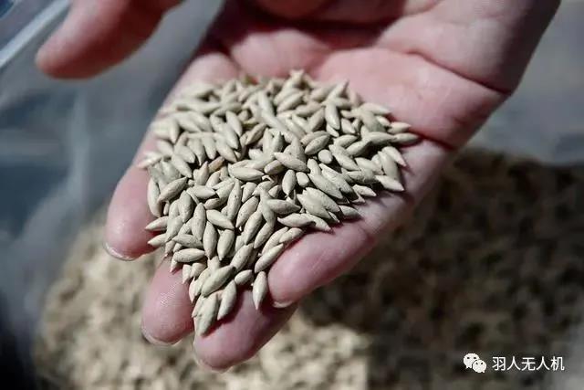 农业无人机应用有哪些突破性成果,农业无人机播撒谷种