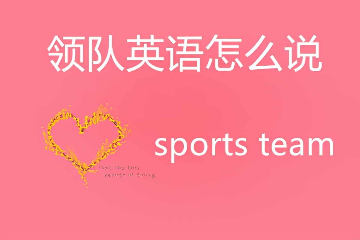 领队英语,领队英语怎么学