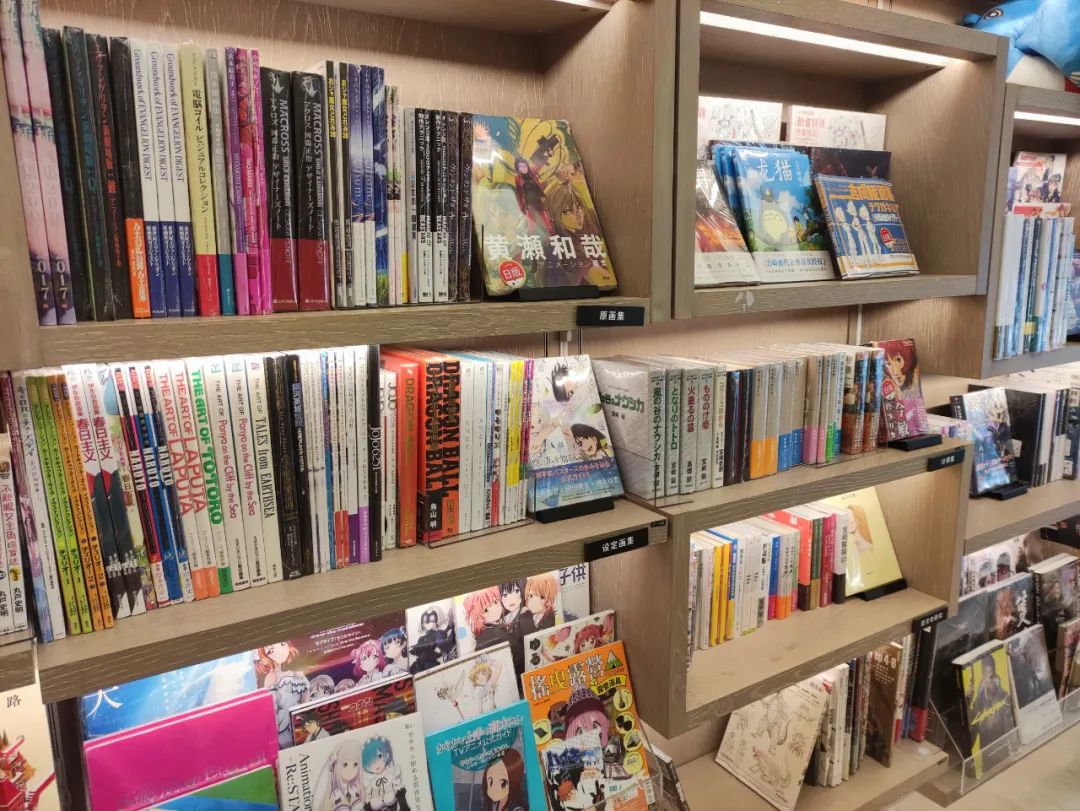 一家面临倒闭的书店,一家书店引起的血案