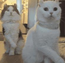 看我飞车特技，哦噢.......搞笑动图集合