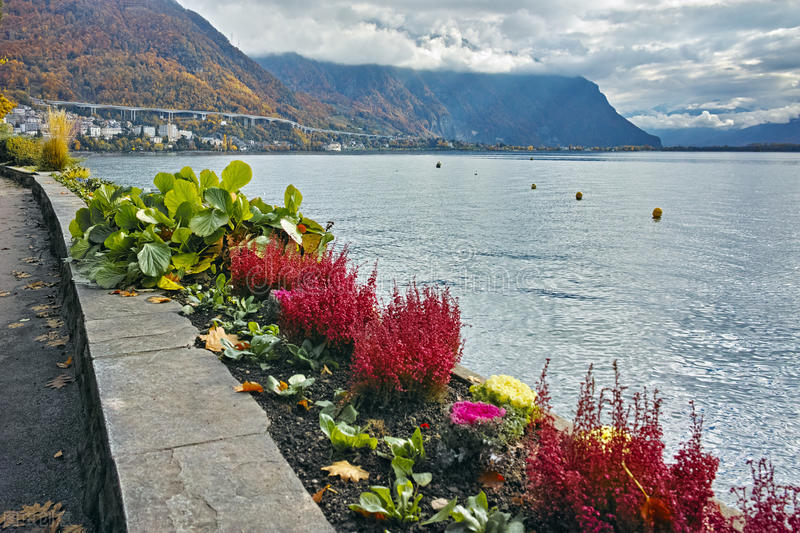 世界十大电子工业国,世界十大工业强国都有谁