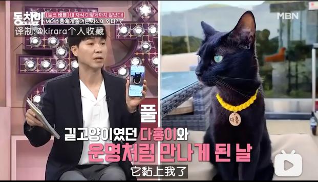 这是我见过最霸气的吸血鬼,现在的吸血鬼vs当年的吸血鬼