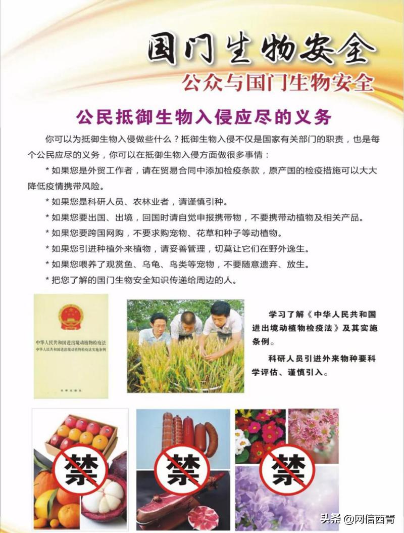 全民国家安全教育日的感受和看法,全民国家安全教育日筑牢国家安全