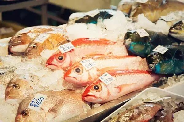 春回大地山清水秀,春回大地感受春的气息