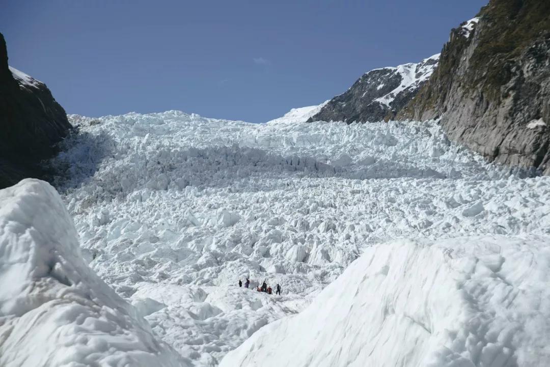 新西兰抗疫,新西兰抗疫成绩