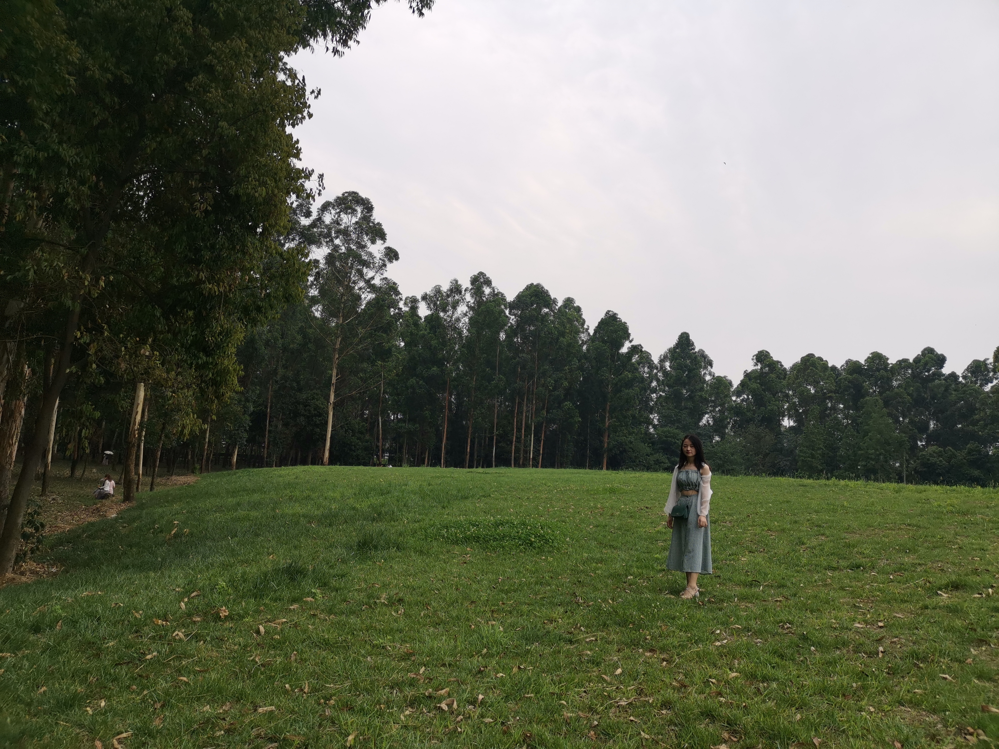 向日葵花海成都8月,成都向日葵花海几月有花