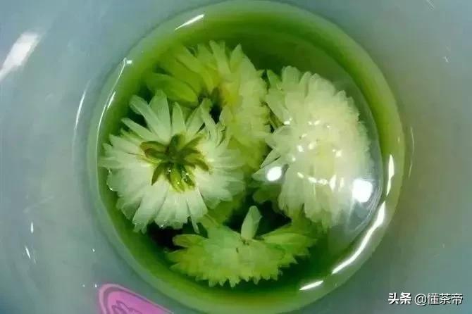 野菊花茶变绿了还能喝吗,菊花茶居然变绿了是不是有毒