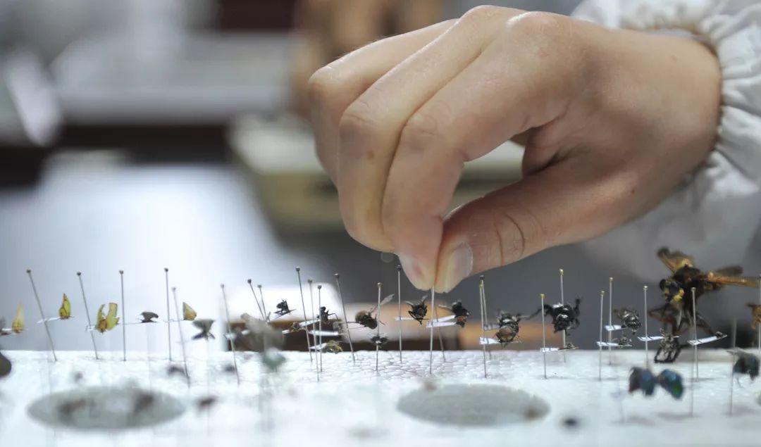 文科专业没前景吗,文科没前途专业