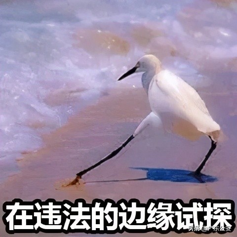 太疯狂男子醉驾冲卡险些撞到民警,男子醉驾强行冲卡致5人受伤