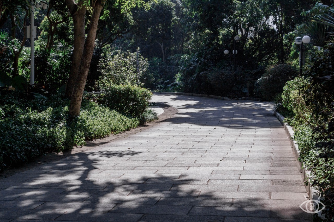 深圳十大顶级公园,深圳市十大风景公园排名