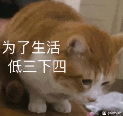 剑网三厉重劫,剑网3新唐门攻略图