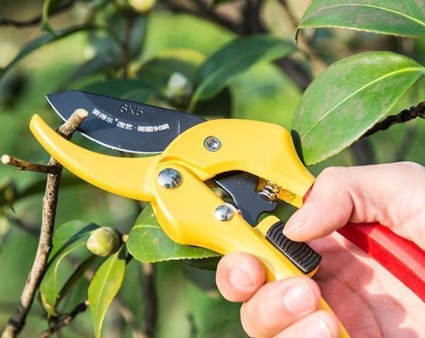 十大必备五金工具,最值得入手的五金工具