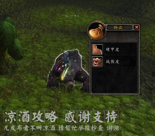 魔兽世界战熊热裤设计图纸,魔兽世界皮甲战熊幻化