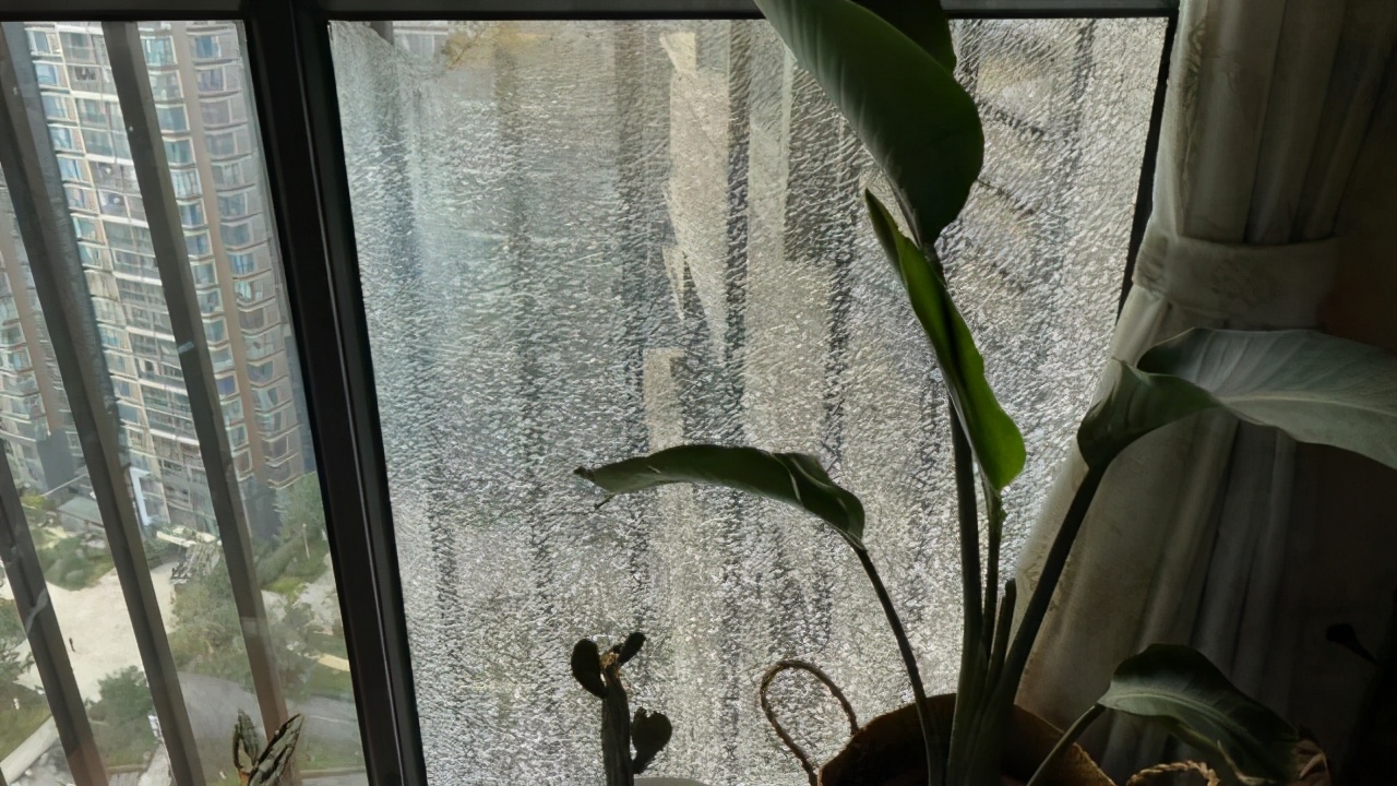 小区楼下放烟花,楼上玻璃碎成“蜘蛛网”,业主懵了:咋整?