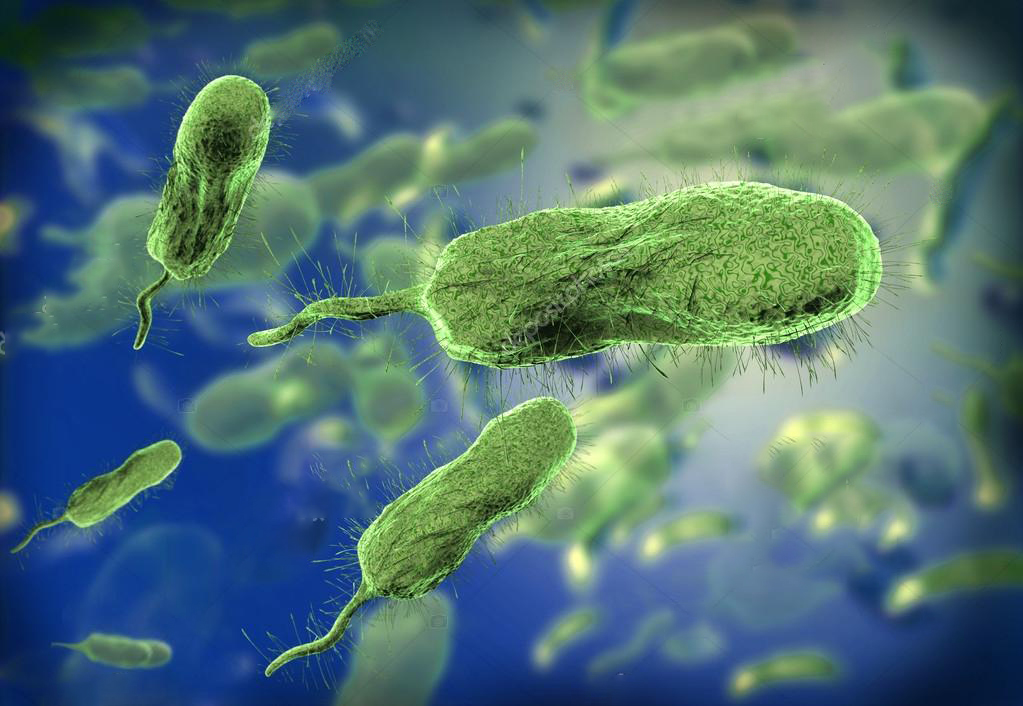 洗虾扎伤手老人被迫截肢保命,老人洗虾手指遭刺保命