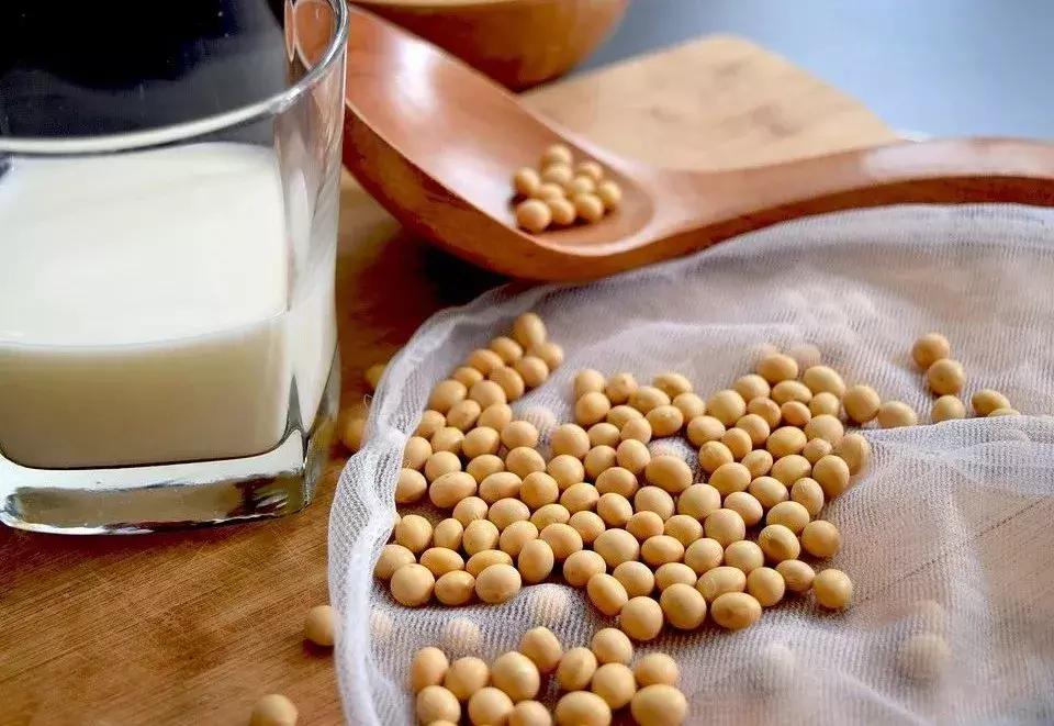 有哪些健康好喝的豆浆做法,豆浆加什么改善凉性