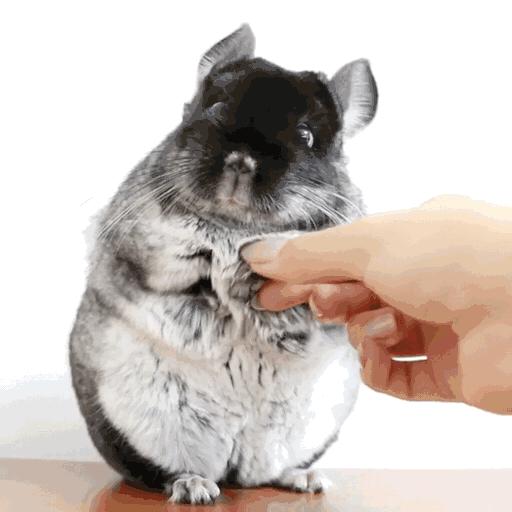 心药讲的什么,心药语音视频