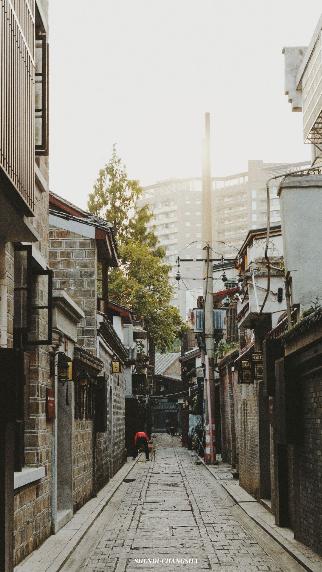 长沙旅游攻略必玩的十大景点介绍,长沙适合秋季打卡的景点