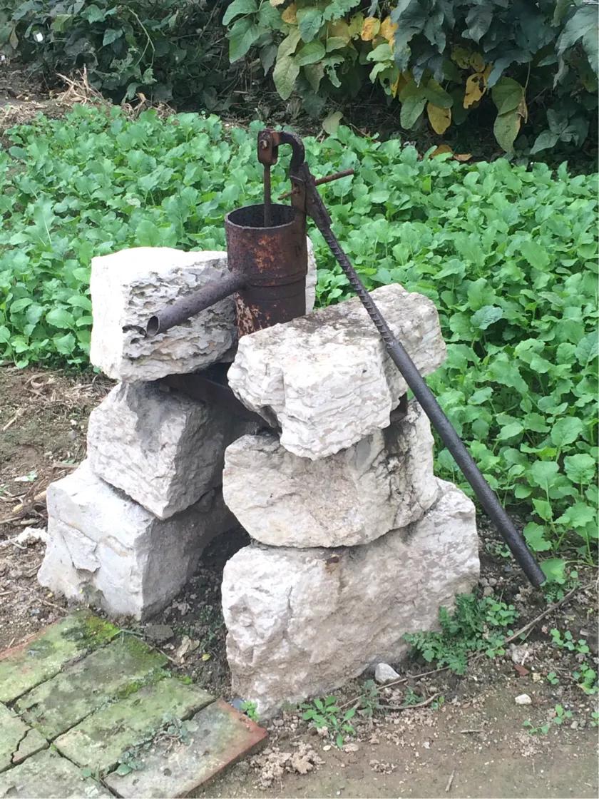 战胜癌症君,与肿瘤君抗争