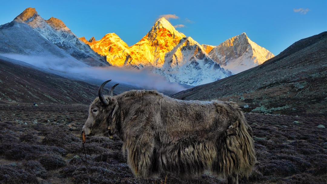 户外十大经典路线,全国最受欢迎的旅游线路