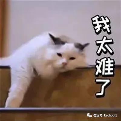 迪士尼英语收费标准,迪士尼英文退款