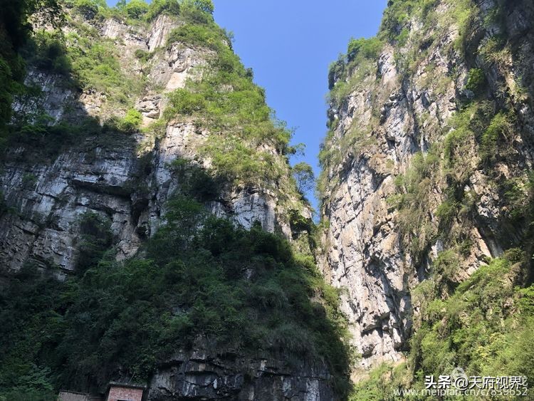 中国百慕大黑竹沟了解一下,穿越黑竹沟揭秘中国百慕大