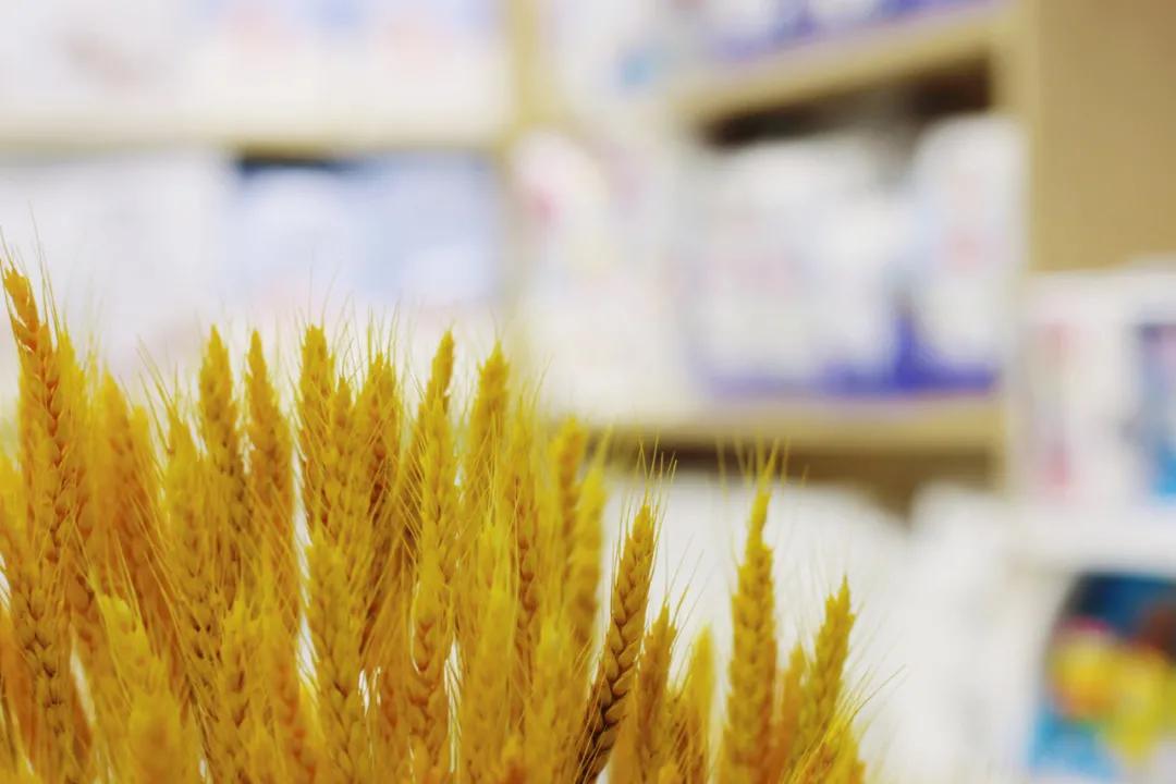 母婴店新手如何销售营养品技巧,母婴店新手销售技巧