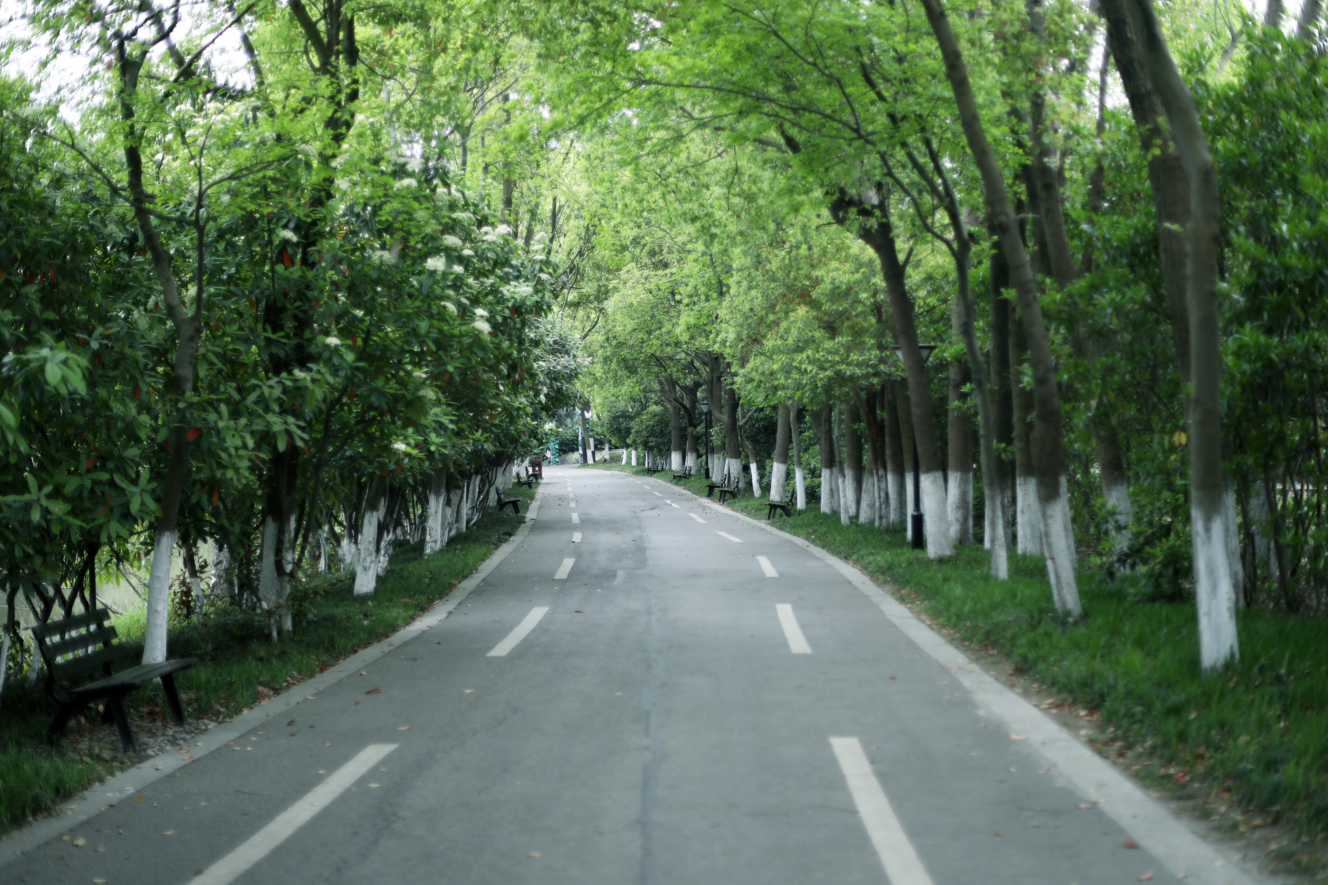 常熟沙家浜一日游结束,常熟水上花田沙家浜