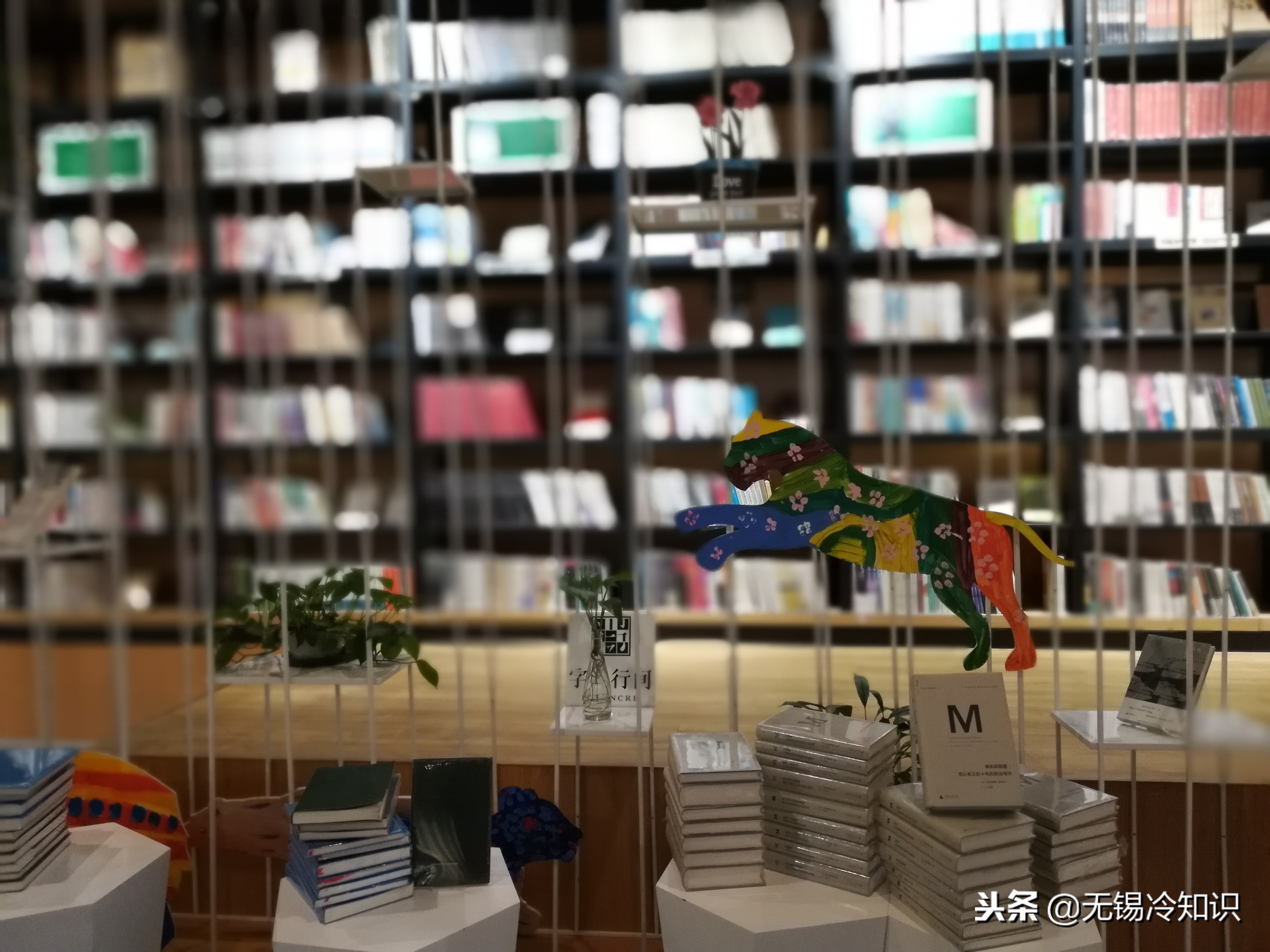 无锡最美书店,无锡创意书店