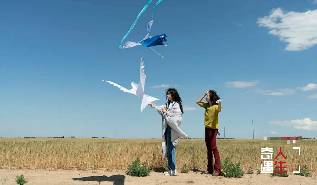 鏉ㄩ鍒橀洴,鍒橀洴鍜屾潹棰栫殑鍖哄埆