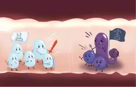 用抗生素后腹泻怎么办,用了抗生素有哪些不良反应