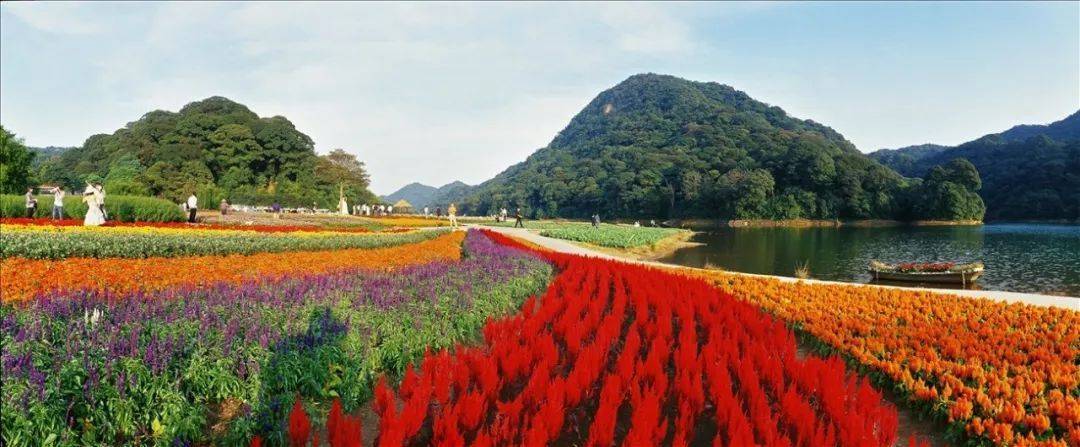 从化毅华温泉二日游,从化毅华河景温泉酒店附近景点