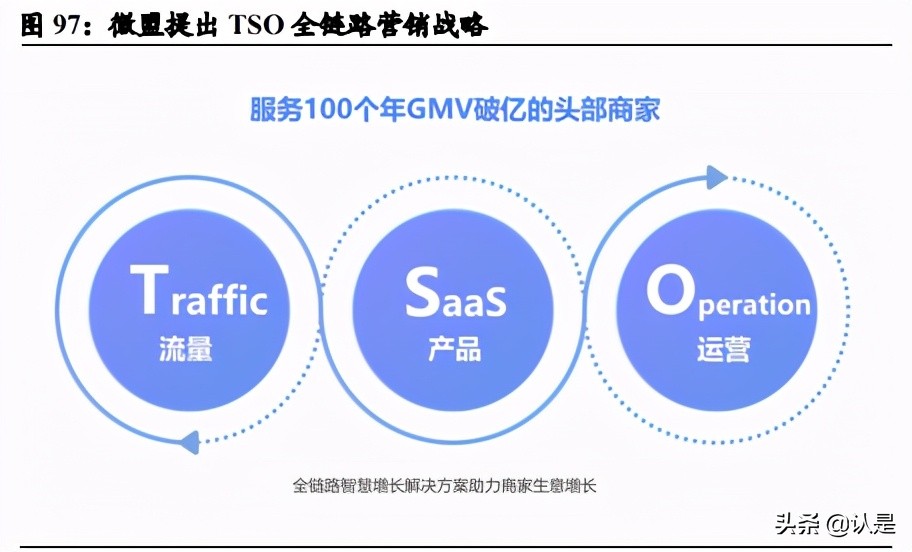绉佸煙鐢靛晢娣卞害鍒嗘瀽,绉佸煙鐢靛晢saas琛屼笟鍒嗘瀽