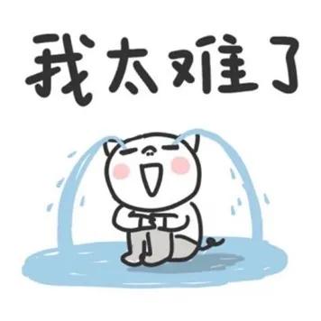 不输本科！这几所专科院校太热门了！你被录取了吗？