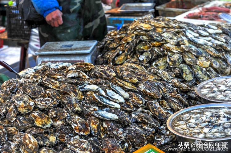 烟台莱阳海鲜早市,烟台老红利市场早市