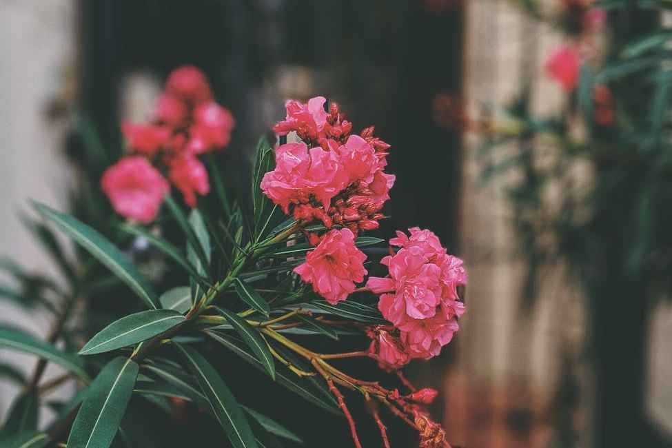 给未婚女孩儿的几条婚前建议,给未婚姑娘的一些忠告