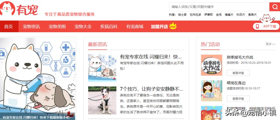 国外最热门宠物网站排名榜,宠物网站排行榜前十名