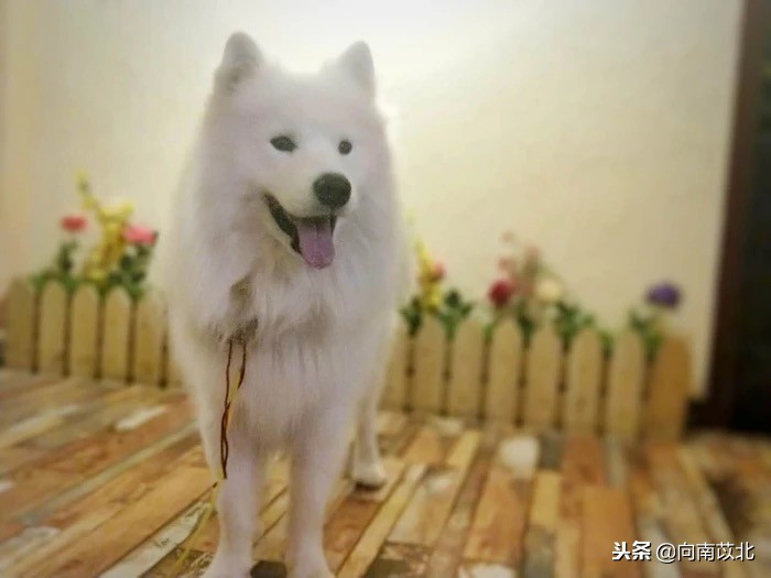 丽江旅游住宿民宿排行,丽江旅游住宿攻略大全推荐