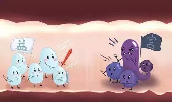 疫情蔓延，免疫力提高是关键！益生菌的秘密你应该要记住