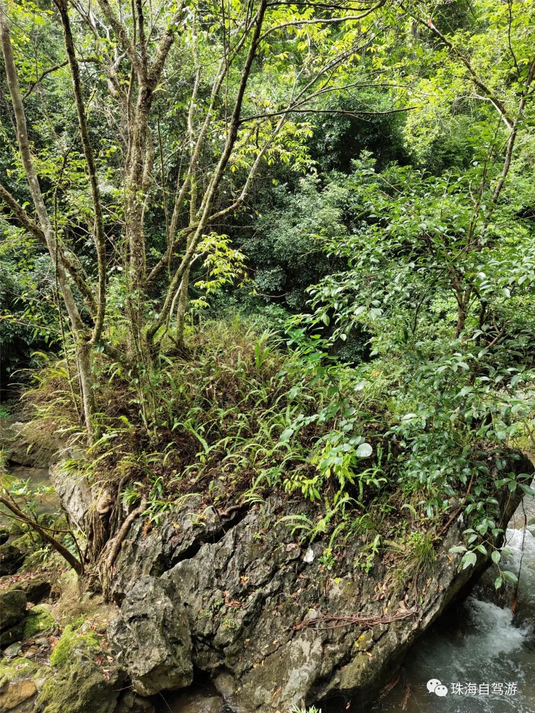 贵州旅游攻略荔波小七孔实用攻略,贵州梵净山荔波大小七孔旅游攻略