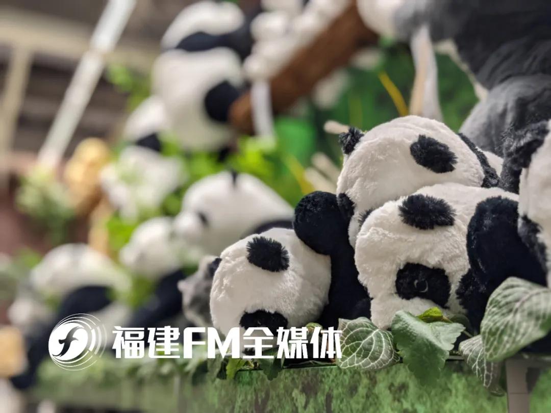 福州宜家怎么逛,福州宜家小朋友一日游