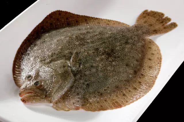 醴陵市海鲜收藏排行榜,海鲜礼盒收藏价格表图