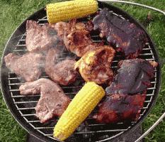 超级实用烧烤架,新式家用烧烤架