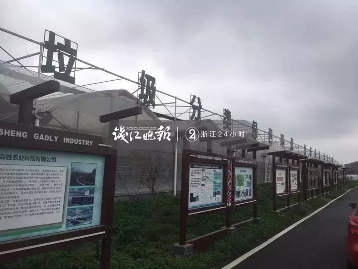 浙大博导年收入多少,浙大博士一辈子可以赚多少钱